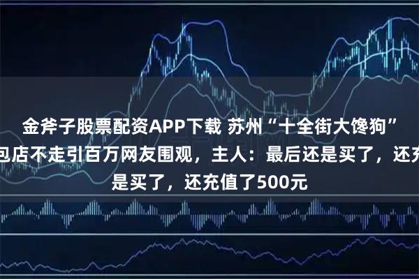 金斧子股票配资APP下载 苏州“十全街大馋狗”火了!赖面包店不走引百万网友围观,主人:最后还是买了,还充值了500元