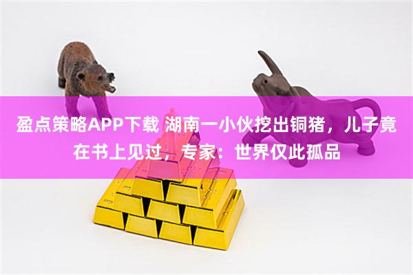 盈点策略APP下载 湖南一小伙挖出铜猪，儿子竟在书上见过，专家：世界仅此孤品
